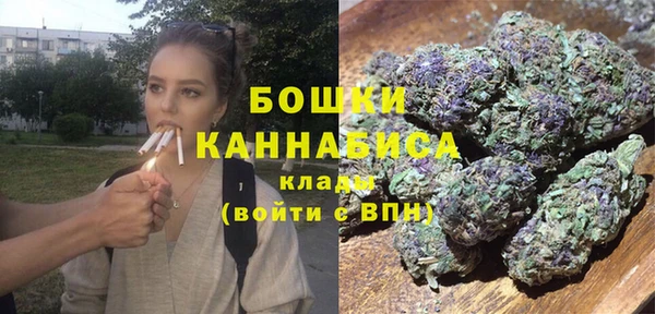 стаф Болохово