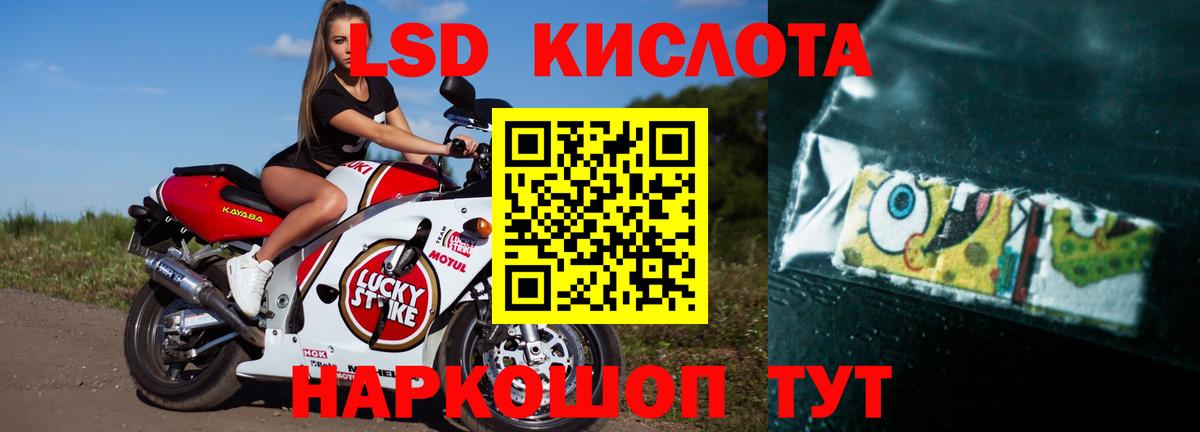 Шали  Лсд 25 экстази ecstasy  Вход с VPN 