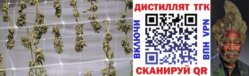 ТГК концентрат  купить наркотик  Шали 