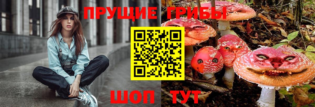 Шали  Псилоцибиновые грибы прущие грибы  Вход с VPN 