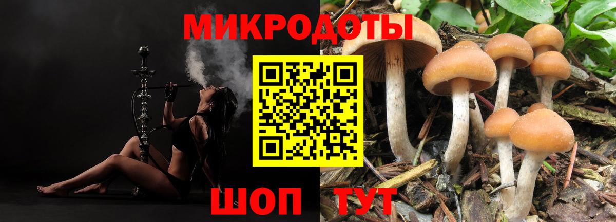 Псилоцибиновые грибы прущие грибы  Галлюциногенные грибы MAGIC MUSHROOMS  Шали 